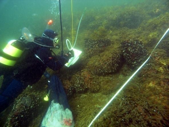 Kehittää kustannustehokkaita menetelmiä Itämeren vedenalaisen