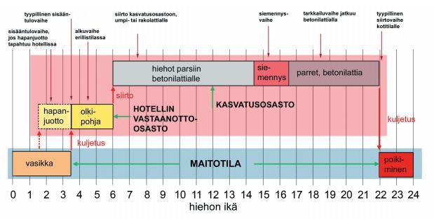 3.2 Eläinten siirrot hiehohotelliin Suomessa otetaan hiehojen kasvatuksessa mallia Tanskasta, jossa on pidempään kasvatettu hiehoja erillään päätilasta.