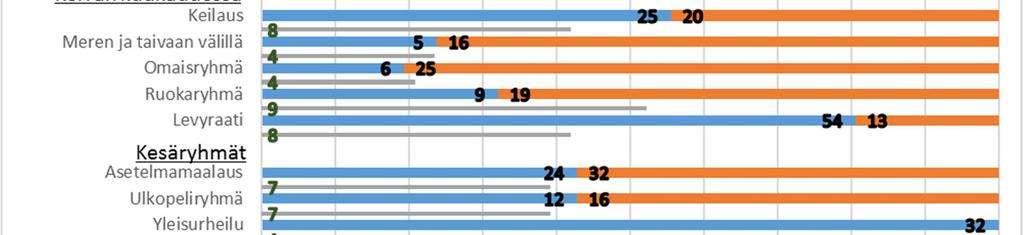 Espoon kaupungin Kipinä-toimintaan liittyen vuonna 2016 Emy oli mukana nuorille