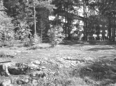 KIVIHAANKUJAN PUISTIKKO Nykytilan kuvaus Kivihaankujan puistikko on asutuksen väliin jäänyt avokallio, joka Kivihaankujan kääntöpaikan kanssa muodostaa kadun päätteeseen pienen aukion.