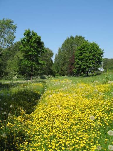 3.3.3. Luonnonhoidon tavoitteet Haagassa on luonnonalueita 141 ha.