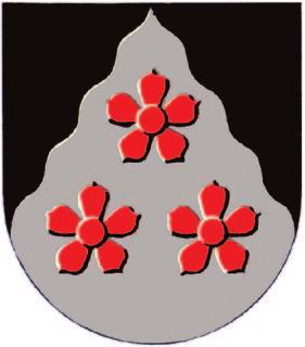 Oriveden