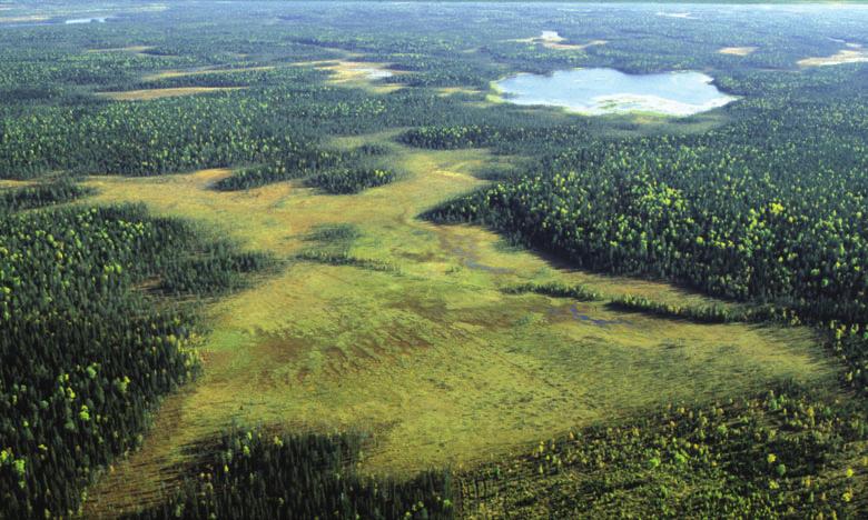 Erikoistuneen luontomatkailun kehittämismahdollisuudet Kainuussa ja Vienan Karjalassa Raimo Heikkilä 1.