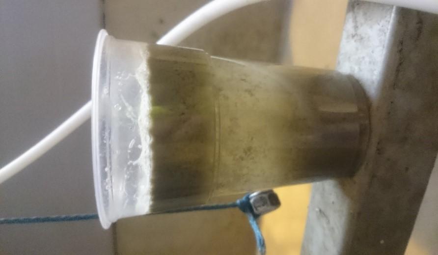 Laboratoriossa tehtyjen koagulanttikokeiden perusteella jätevedenpuhdistamolla testattiin uutta koagulanttia.