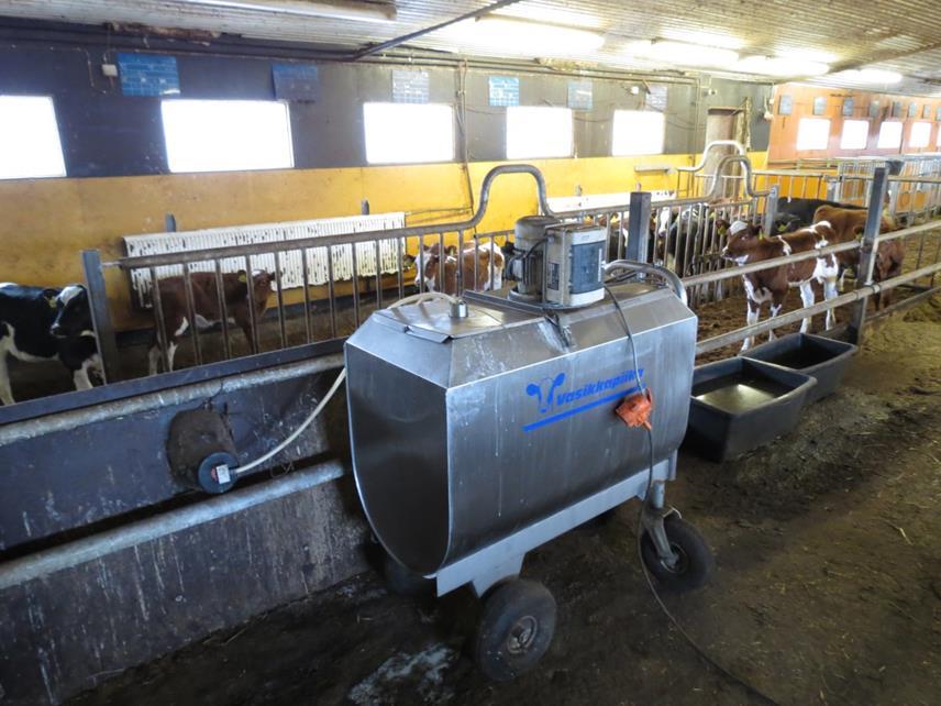 Arvovirtakuvaus Jos työnnät kaikki syntyvät maitorotuiset lehmävasikat systeemin läpi, tuotantosi