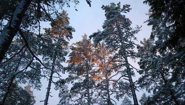 Tekijä: Simo Airaksinen PaattiSilta Paluu. Pa Luu. HESEKIEL 8 1.
