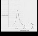 28 29 30 Spektrofotometria UV IR Spektroskoopiset menetelmät tutkivat aineiden ja sähkömagneettisen säteilyn vuorovaikutuksia.