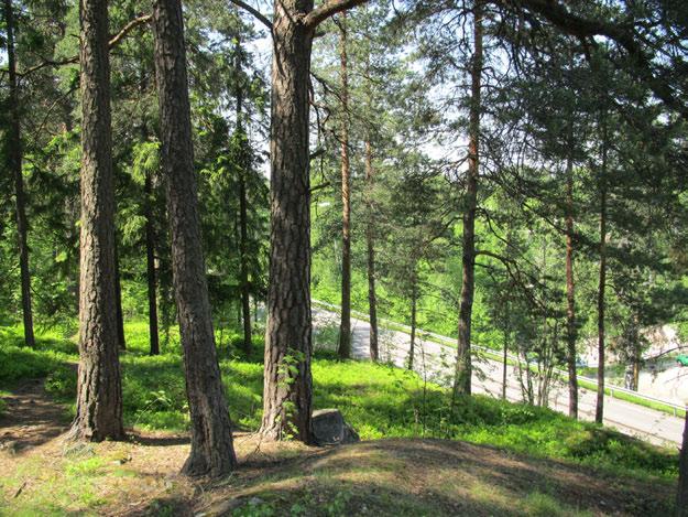 Kirkkoherrantien kerrostaloalue Kirkkoherrantien ympäristön kerrostaloalue edustaa 1960-luvun