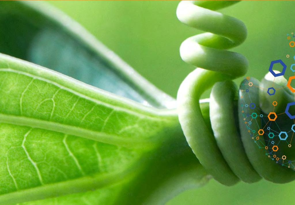 PROJEKTIN TIEDOT Tekniset tiedot Kapasiteetti Yksiköiden määrä Toiminta-alue Toiminta-aika tuotanto/pumppaus Varaston koko 75 MW (+75 MW) 1 (kolme komponenttia) ±75 MW (lataus/tuotanto) 7/9 h 530 MWh