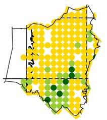 Taulukko 14. Etelä-Karjalan kymmenen runsaslukuisinta päiväperhosta seurannassa. Osuudet kuvastavat yksilömäärien vuosikeskiarvojen jakaumaa 1990- ja 2000-luvulla.