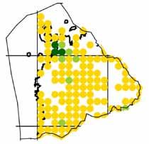 Taulukko 18. Laatokan Karjalan kymmenen runsaslukuisinta päiväperhosta seurannassa. Osuudet kuvastavat yksilömäärien vuosikeskiarvojen jakaumaa 1990- ja 2000-luvulla.