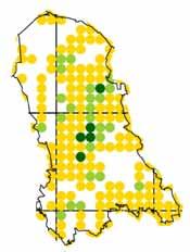 Kuva 25. Ylemmässä kaaviossa on havaintoruutujen (asteikko vasemmalla) ja havaintopäivien (asteikko oikealla) vuosivaihtelu Pohjois-Savossa 1991-2015.
