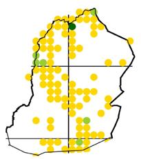Vähentyneestä havainnoinnista huolimatta suokeltaperhosen, hohtosinisiiven, muurainhopeatäplän ja lapinverkkoperhosen yksilömäärät ovat nousseet jälkimmäisellä jaksolla; tosin lapinverkkoperhosen