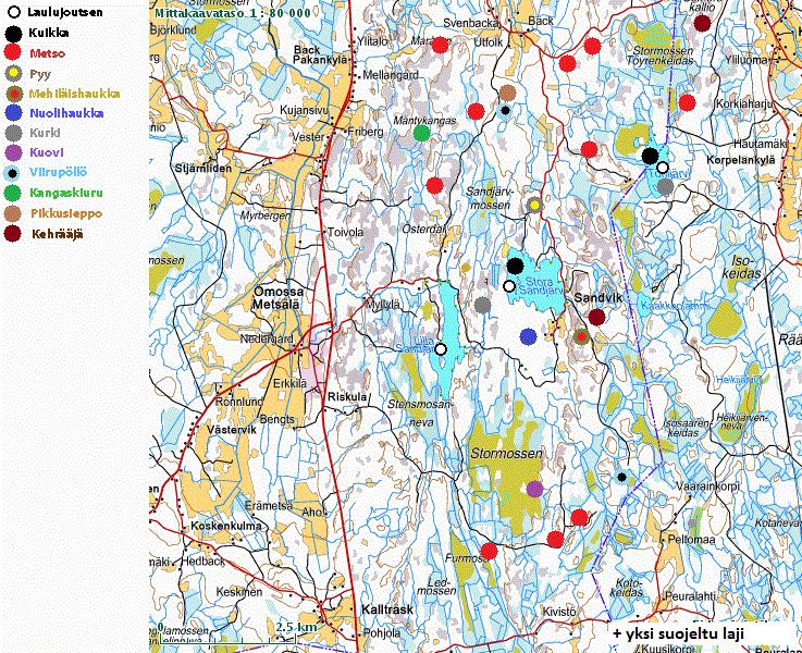 Vaikka suoranaisia pesintään viittaavia havaintoja ei tehtykään, voidaan lajin kuulumista alueen pesimälinnustoon pitää todennäköisenä runsaan sopivan biotoopin sekä muutamien ylilentohavaintojen