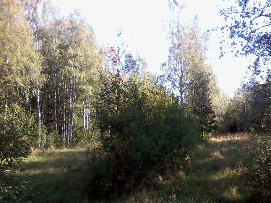 200 m etelään ja toiseksi läntisintä (E1) 200-300 m itään. Muut voimaloiden rakennuspaikat eivät ole paikallisille lepakoille tärkeitä saalistusalueina tai siirtymäreitteinä.
