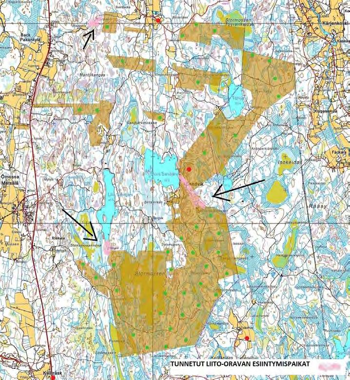 7. LIITO-ORAVA Liito-oravan esiintymistä selvitettiin pesimälinnustolaskentojen ohessa. Koko alue kartoitettiin.