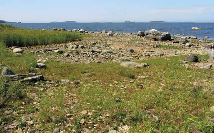 Saarten kuvaukset Preiviikinlahden keskiosan ja rannan tuntuman saaret Tähän ryhmään kuuluvista saarista tutkittiin 11 kappaletta.