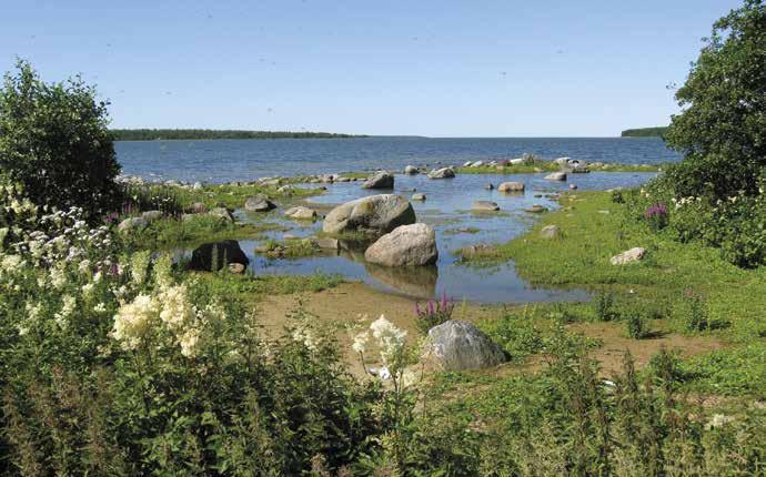 Puolivälinkarin luoteeseen antava lahdelma 19.7.2012.