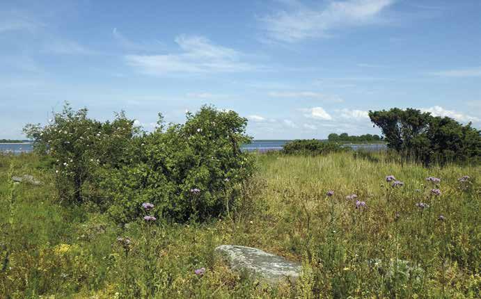 Maa-Harmaa Pinta-ala 0,4 ha, korkeus meren pinnasta 2,5 m, etäisyys mantereesta 1080 m, rantaviivan pituus 350 m, putkilokasvilajimäärä 70.