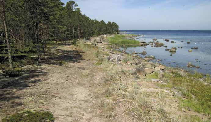 Vartkrunninkarin länsipuolinen luoto Pinta-ala 0,025 ha, korkeus meren pinnasta 0,5 m, etäisyys mantereesta 460 m, rantaviivan pituus 80 m, putkilokasvilajimäärä 25.