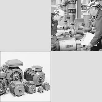 Drive IT Low Voltage Motors Manual for Low Voltage