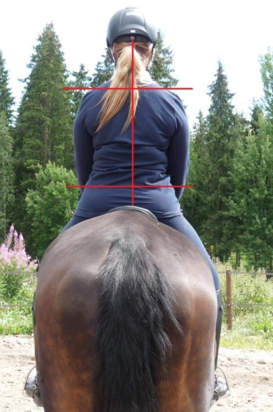Painoavulla tarkoitetaan sitä, miten ratsastaja kehon asennolla ja painopisteen sijainnilla vaikuttaa hevoseen.