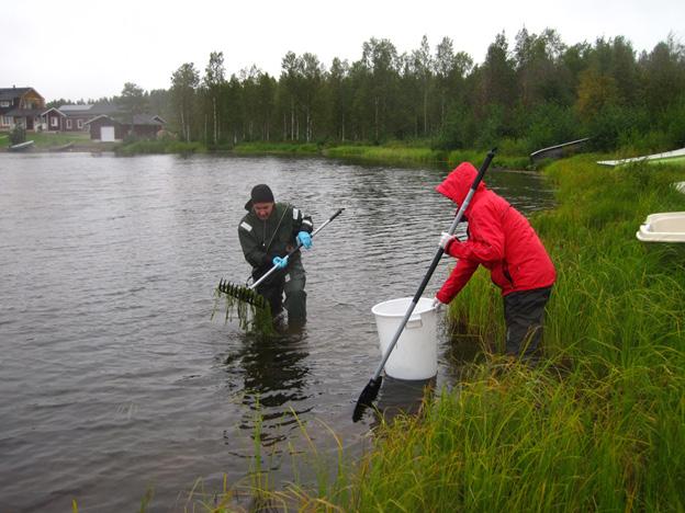 OSA 3 Toimintamalli vesiruton hyötykäytön edistämiseksi Vesiruton keräystä Kuusamojärven