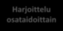 NETTILUKUTAITOJEN OPETTAMINEN Mallintaminen Reflektointi