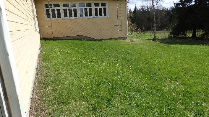 Rakennuksen vierustat ovat nurmipintaiset. Kuva 3. Sadevedet on ohjattu rakennuksen vierelle.