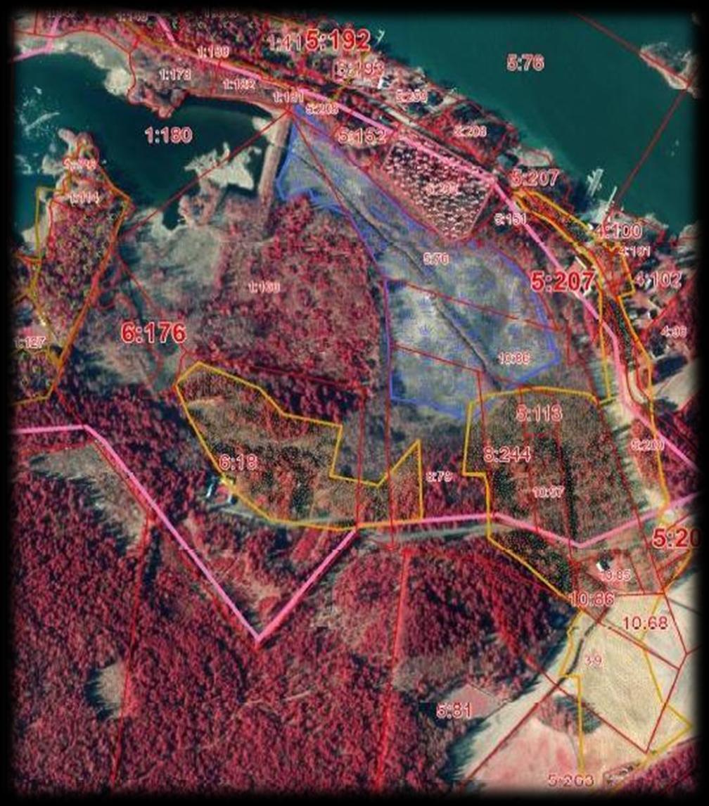 Aiempi maankäyttö (n. 1900) mm. venäläisistä topografikartoista - avoimet niityt ja metsätön maa niittyjen yhteydessä (laidunniityt) - puoliavoimet alueet (mm.