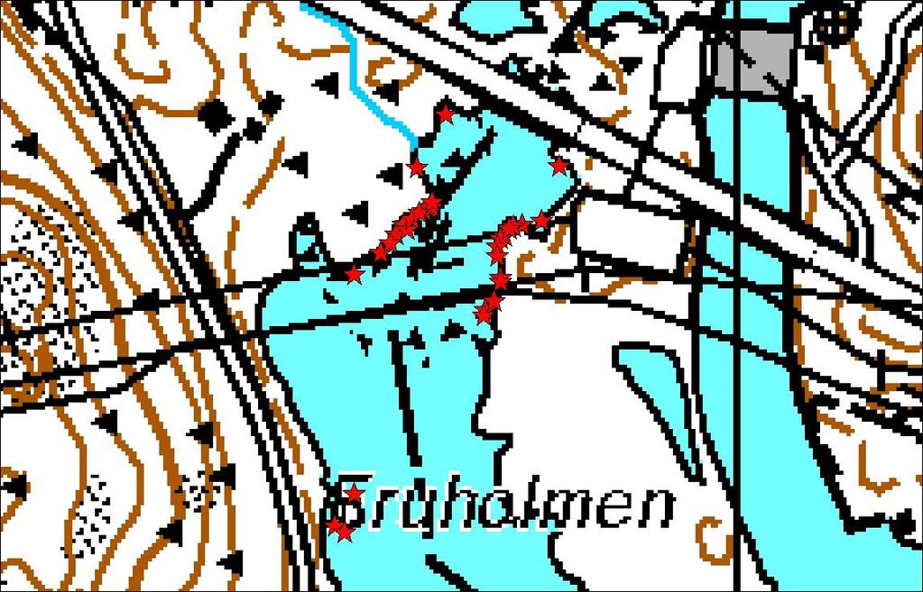 Kuva 3. Hukkariisin kasvupaikat (punaiset tähdet) Ahvenkoskenlahdella vuonna 2009.