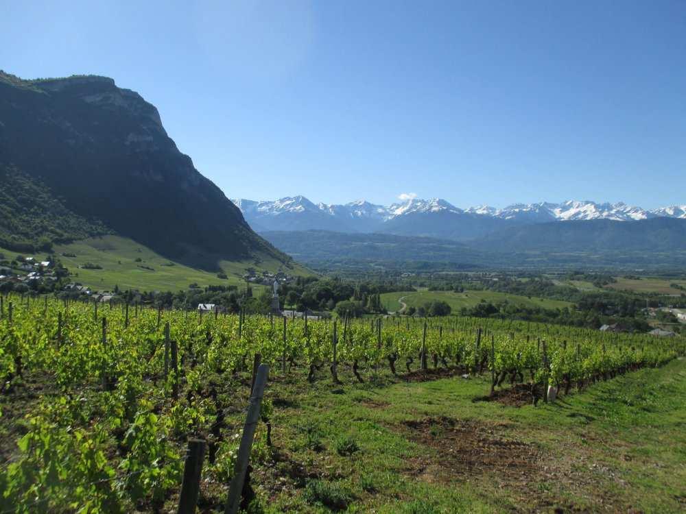 Vin Nature viinitukku Oy Mar/nkylän/e 54, PL 165 01721 VANTAA puh. (09) 5479 6820 vinnature@vinnature.fi www.facebook.