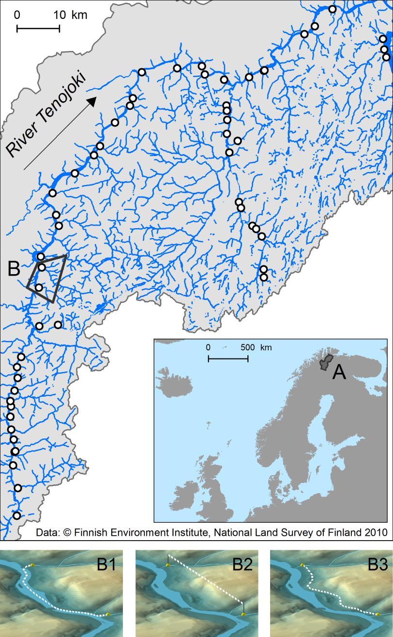 Kustannuspinta-analyysi Varsin runsaasti omia tutkimusesimerkkejä, tuoreimpana esimerkkinä topografian ja maanpeitteen vaikutus eliöiden dispersaaliin Kärnä et al.