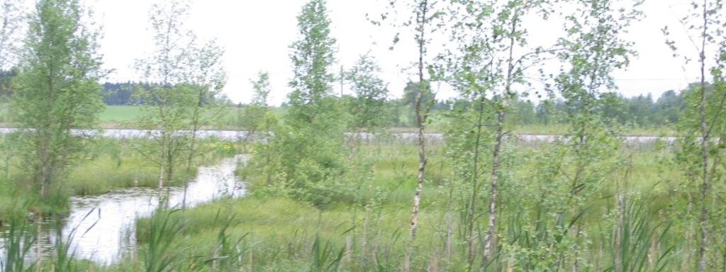 23,87 ha) lintujärvet sijaitsevat Viljakkalan keskustan eteläpuolella.