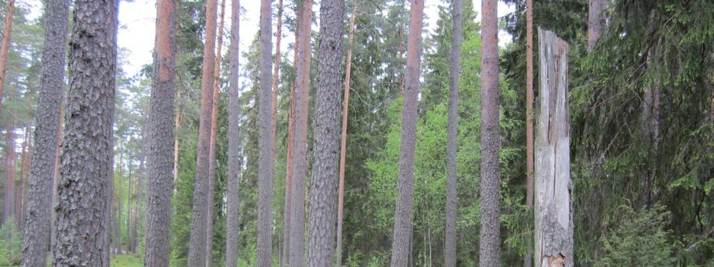 ) ja Harhalanlammin laskupuroa. Järvillä ei ole suoranaisia uhkatekijöitä.