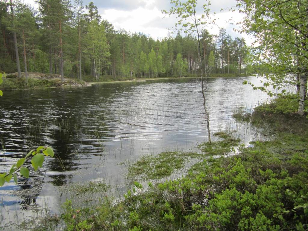 Myös Lylylammen vanhan metsän alue sivuaa Ylöjärveä Ikaalisten rajalla. Kohteet sekä niiden pääasiallinen suojeluperuste esitetään seuraavassa.