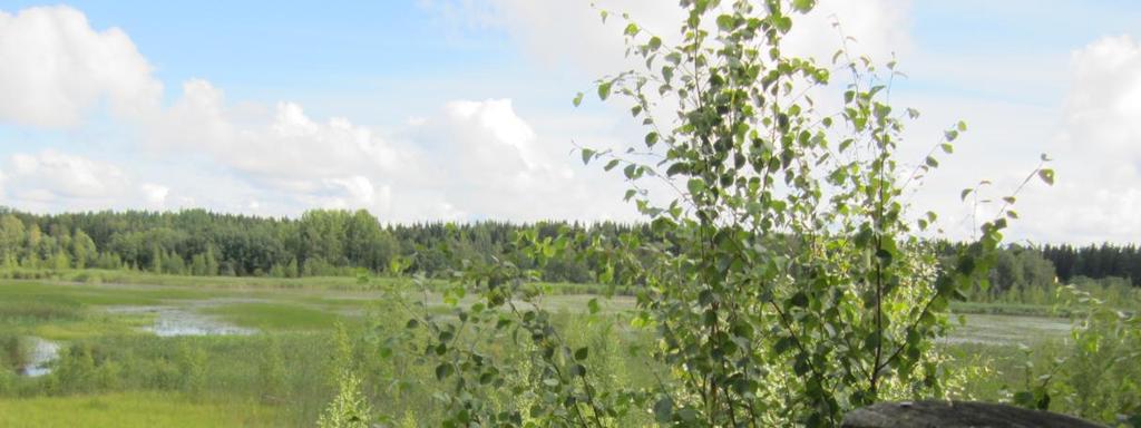 20 Hirvijärvi (23 ha) sijaitsee Takamaalla ja on Natura 2000 verkostossa lähinnä linnustonsa sekä vaihettumis- ja rantasoiden vuoksi.