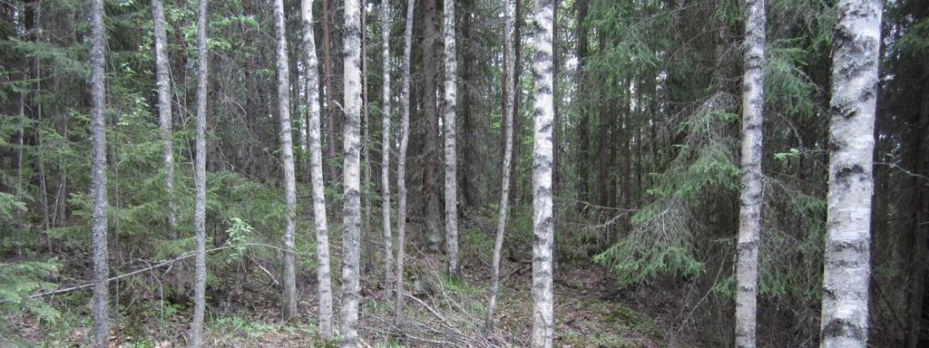 Länsi-Teiskossa Länsi-Teiskontien varrella sijaitseva reunamoreeni (2,4 ha) kuuluu laajaan Sisä-Suomen reunamuodostumaan.