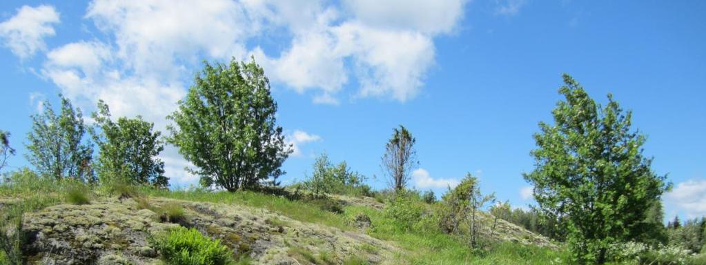 34 6.2 Maisemansuojelu ja -hoito Maisemansuojelua ja hoitoa edistetään erityisesti maankäyttö- ja rakennuslain ja luonnonsuojelulain keinoin. Maisemansuojelun edistämiseksi on Suomessa tehty mm.