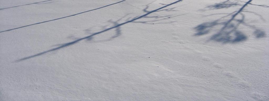 Kansallispuistossa on myös useita lampia ja järviä, joista vain muutama lampi on säilynyt ojituksilta ja on luonnontilainen (mm. Kirkas-Soljonen ja Pikkulampi).