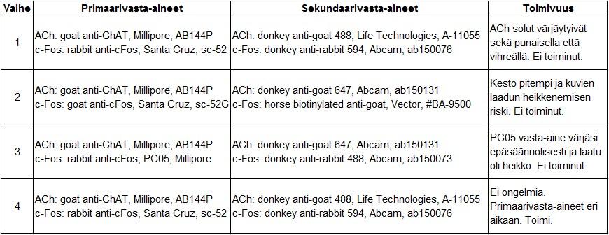 21 Ensimmäisen vaiheen kuvista havaittiin, että asetyylikoliinisolut värjäytyivät punaisiksi ainoastaan silloin, kun primaarivasta-aineet olivat molemmat samaan aikaan paikalla ja käytettiin