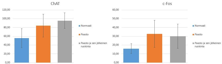 28 Olfactory tuberculen asetyylikoliinisolujen määrissä ei ollut suuria eroja, mutta silmämääräisesti paasto ja sen jälkeinen ruokinta -ryhmässä niiden määrä oli hieman korkeampi kuin