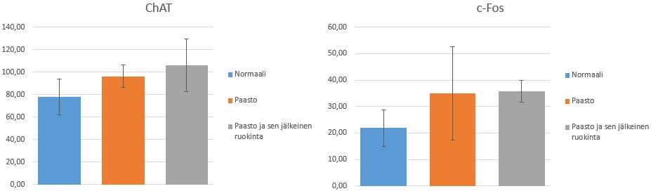 Tilastollisesti merkitsevää eroa ei ollut ryhmien välillä luottamusvälillä 0,05 (p-arvo = 0,392496). c-fos-proteiinia sisältävien solujen keskiarvot olivat hyvin samansuuruiset.