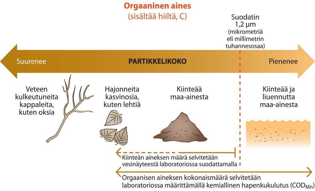 TURVETUOTANNON KIINTOAINE- JA HUMUSKUORMITUSTA