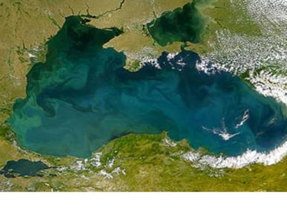 Mustameri kärsi laajoista hapettomista pohja-alueista, yli 40 000 neliömetriä.