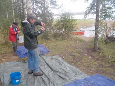 Kuva 6. Laboratoriomestari Keijo Silfsten (vas.) Karelia-ammattikorkeakoulusta sekä Pro Puruvesi ry.