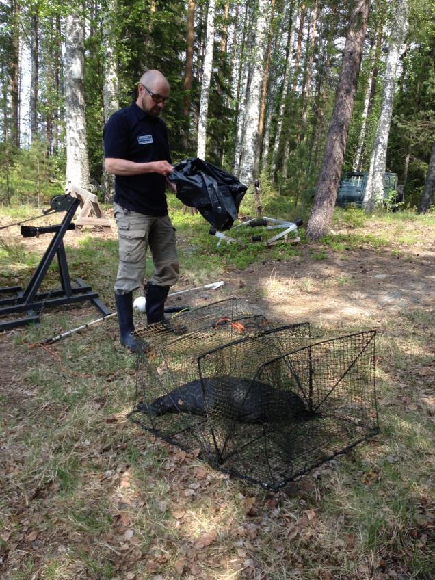 178/392 katiskaa oli vailla yhteystietoja. Lisäksi valvonnassa havaittiin joitain asetuksen vastaisesti merkattuja pyydyksiä.