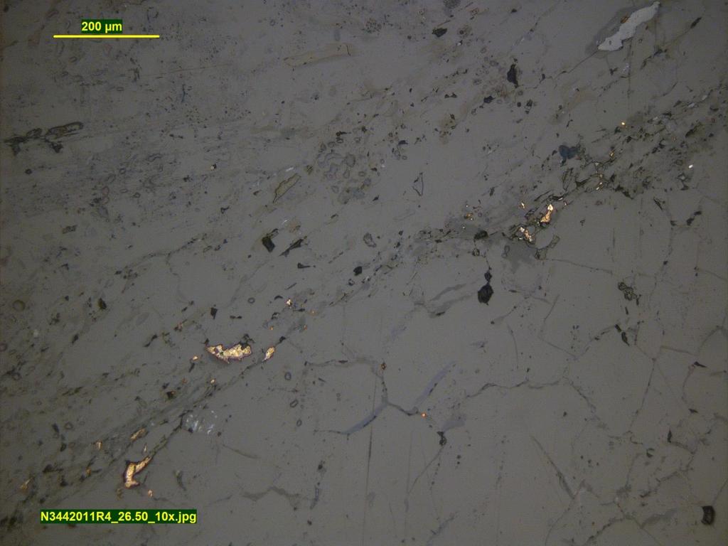 GEOLOGIAN TUTKIMUSKESKUS 12 Kuva 14. Au- ja Bi-Te-mineraaleja biotiitti-kloriittihierrossa. Sama paikka kuin kuvassa 13, tasopolarisoitu heijastuva valo. Fig. 14. Au- and Bi-Te-minerals within biotite chlorite shear.