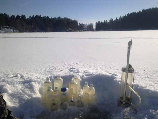 Happikatojen perussyy on järviin kohdistuva liian suuri ravinnekuorma. Hagmanin (2009) mukaan Tjusträskin valuma-alueelta tuleva laskennallinen kuormitus ylittää järven sietokyvyn selvästi.