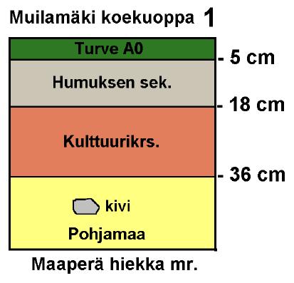 3 sijaitsevaa asuinpaikkaa. Toinen paikoista on Mielikonoja ja toinen Muilamäki aivan Venäjän rajan pinnassa. Kolmas vuonon rannan asuinpaikka, Saarenoja 1 sijaitsee pellossa.